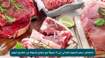 انخفاض سعر اللحوم الضاني إلى 11 جنيهاً مع ارتفاع ملحوظ في الكندوز اليوم